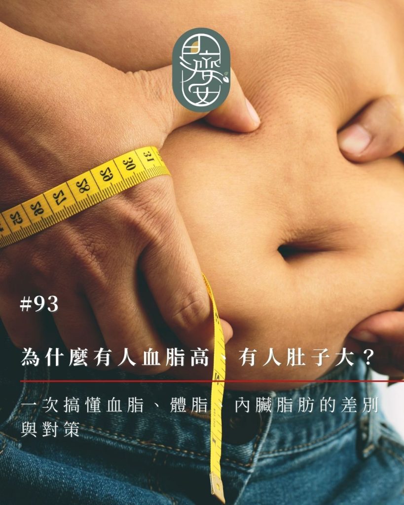 健康飲食、內臟脂肪、血脂、運動減脂、體脂控制