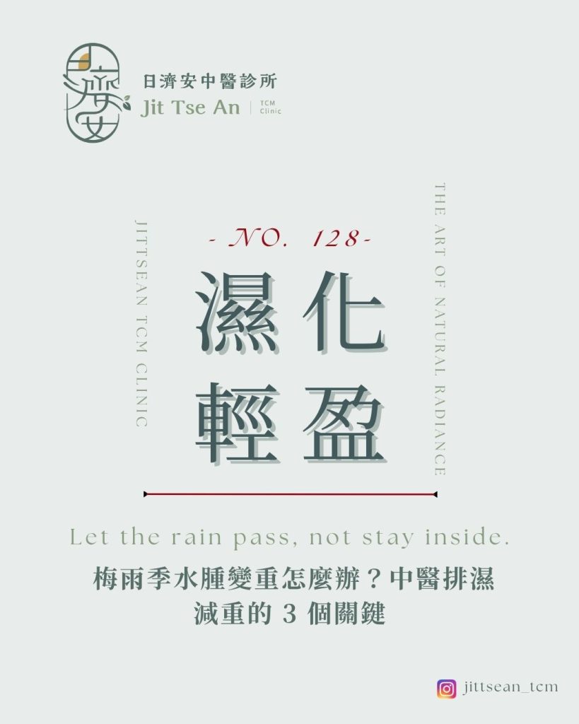 梅雨季排濕減重-水腫肥胖-健脾去濕